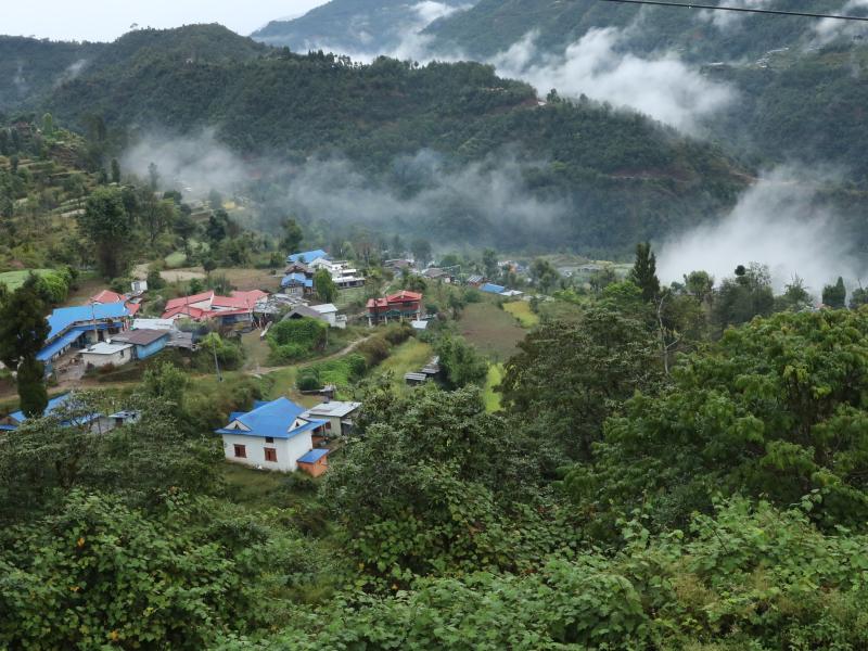 aaaa