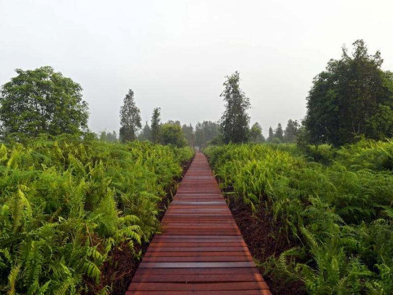 aaaa