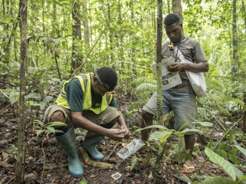 ssss